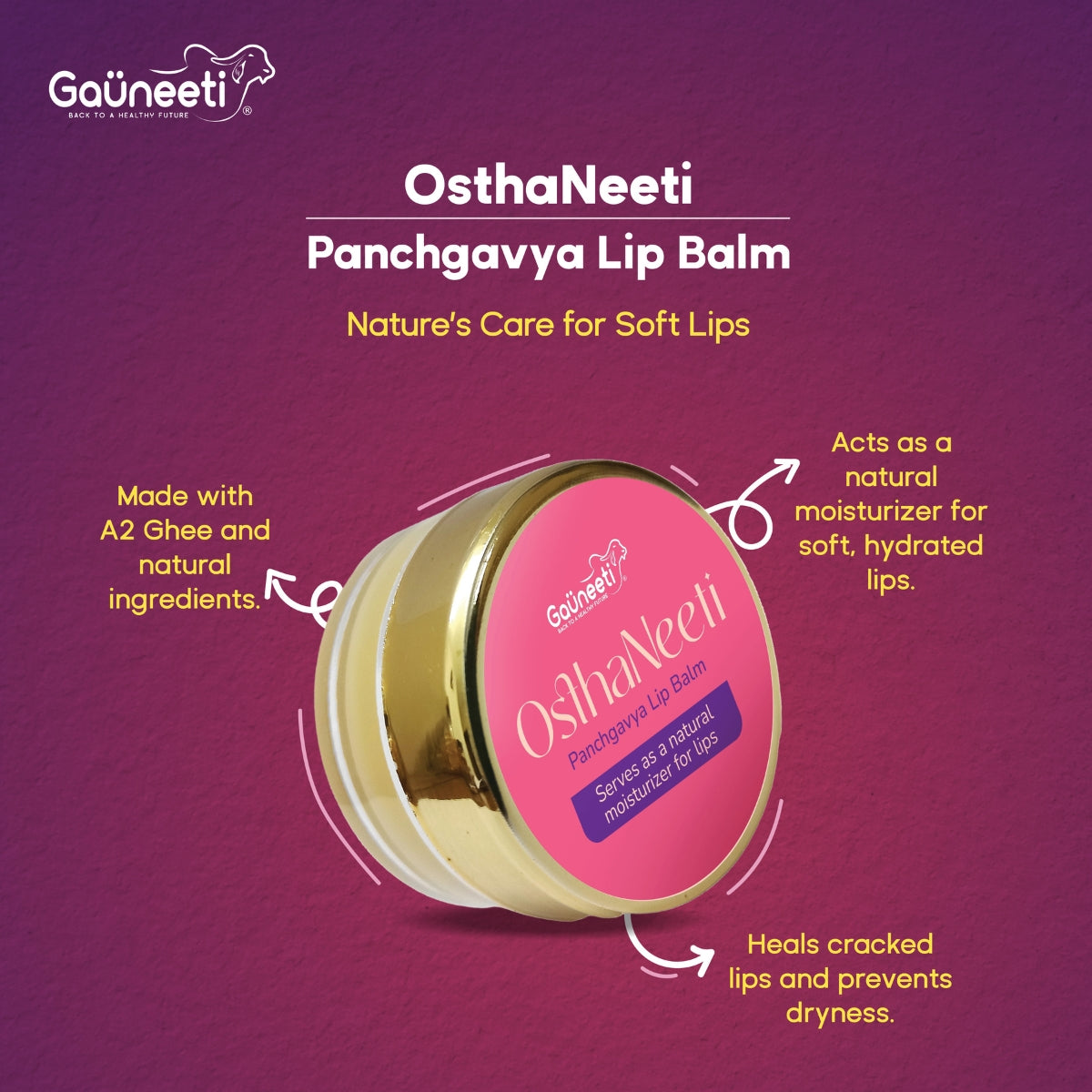 OsthaNeeti - All Natural Lip Balm - 5gm