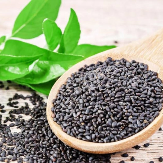 Sweet Basil Native Desi Seeds | Open Pollinated