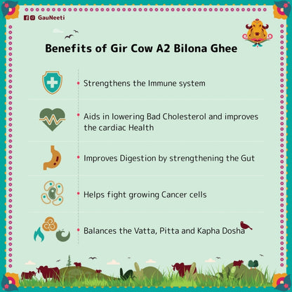 Gir Cow A2 Bilona Ghee - Artisanal Cultured Ghee