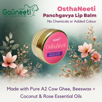 OsthaNeeti - All Natural Lip Balm - 5gm