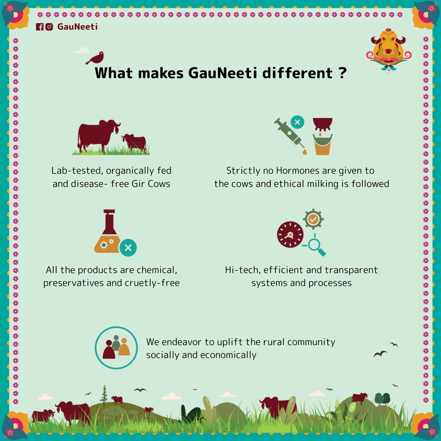 Gir Cow A2 Bilona Ghee